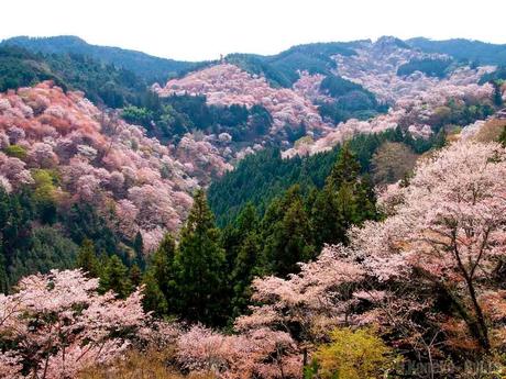 Yoshino-cho, Nara. Japón