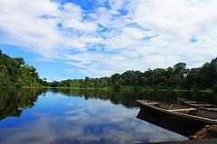 Amazonas