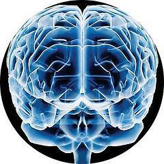 cerebro