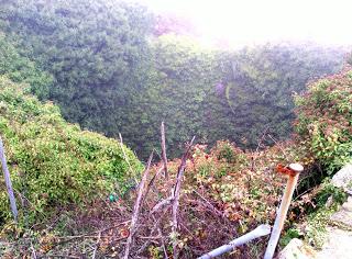 Pozo de la Nieve del Real de San Vicente