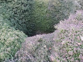 Pozo de la Nieve del Real de San Vicente