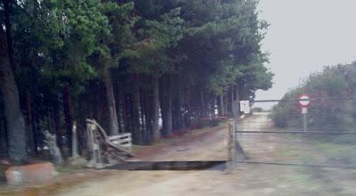 Pozo de la Nieve del Real de San Vicente