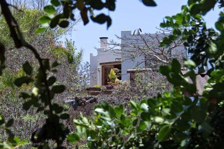 #Decopedia5 El Sitio Encantador #Decopedia5 El Sitio Encantador