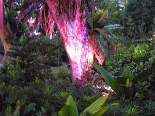 EL JARDÍN BOTÁNICO DE SINGAPUR