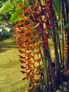 EL JARDÍN BOTÁNICO DE SINGAPUR