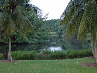 EL JARDÍN BOTÁNICO DE SINGAPUR