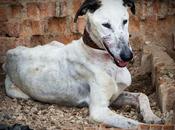 Farnox, vida triste, ahora comienza sonreír¡¡