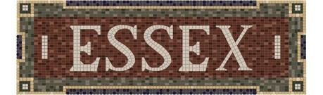 NY Train Project essex