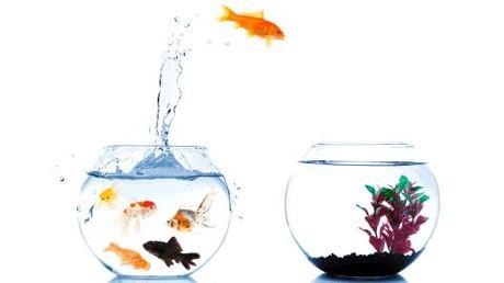 Emprende… ¡Da el primer paso! Emprende… ¡Da el primer paso!