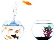 Emprende… primer paso!