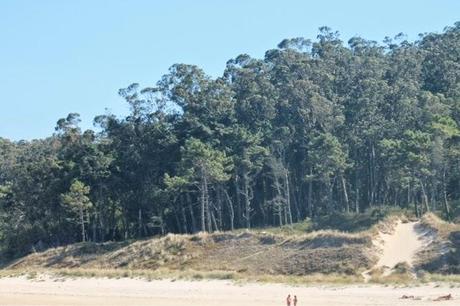 Disfrutar de Galicia