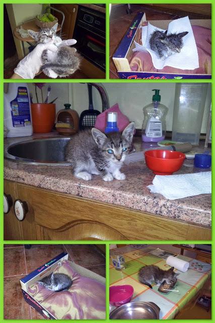 ¡¡¡¡Estrellita vuelve a casa!!!!!! y un tutorial: mariposa de ganchillo.