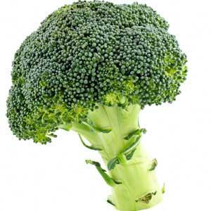 Brocoli contra el cancer