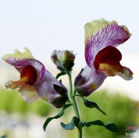 MACRO DEL DÍA: VIDA