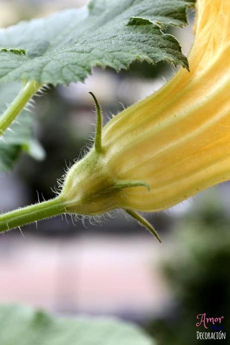 MACRO DEL DÍA: VIDA