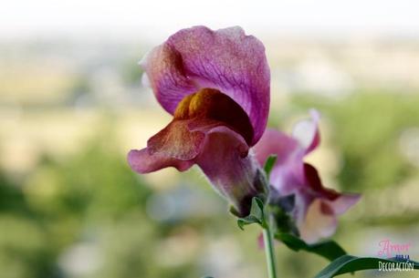 MACRO DEL DÍA: VIDA