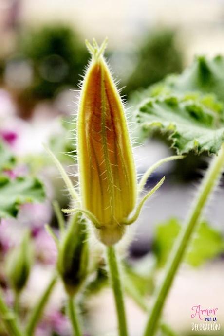 MACRO DEL DÍA: VIDA