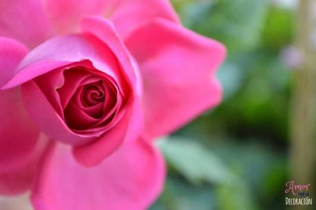 MACRO DEL DÍA: VIDA