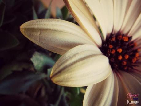 MACRO DEL DÍA: VIDA