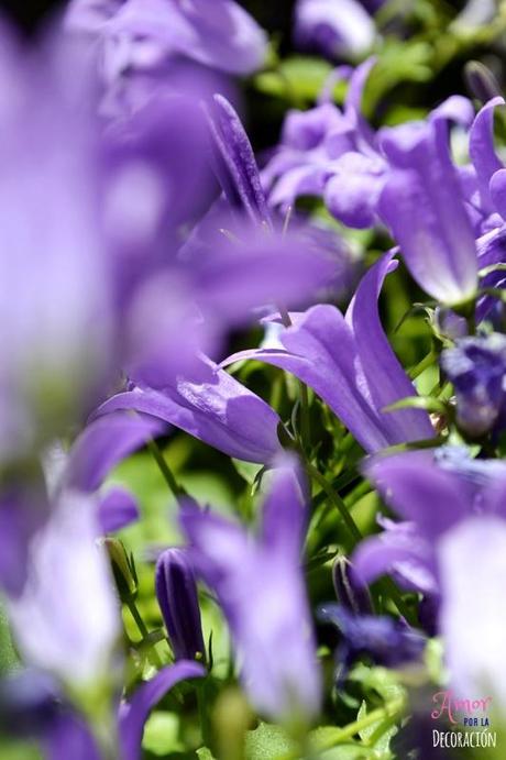 MACRO DEL DÍA: VIDA