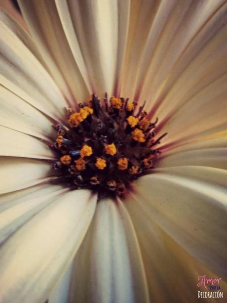 MACRO DEL DÍA: VIDA