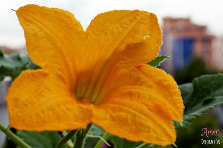 MACRO DEL DÍA: VIDA