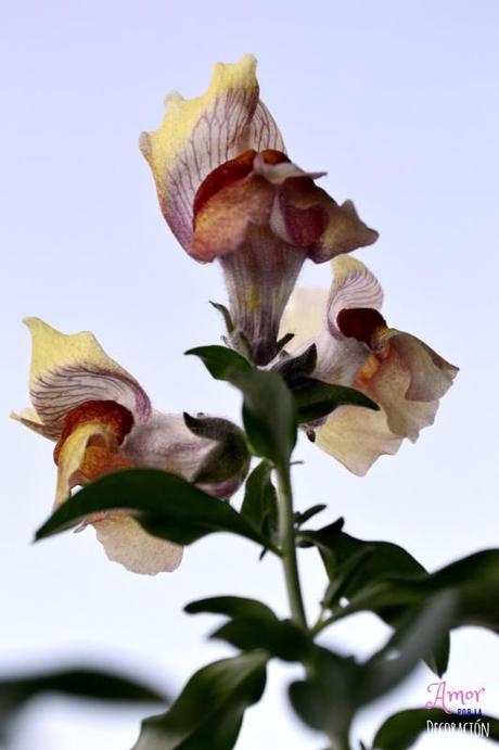 MACRO DEL DÍA: VIDA