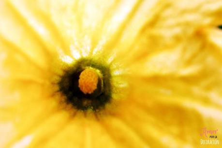 MACRO DEL DÍA: VIDA