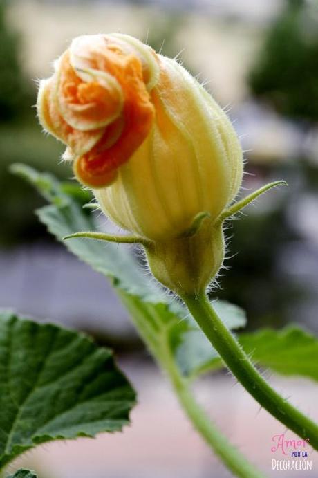 MACRO DEL DÍA: VIDA