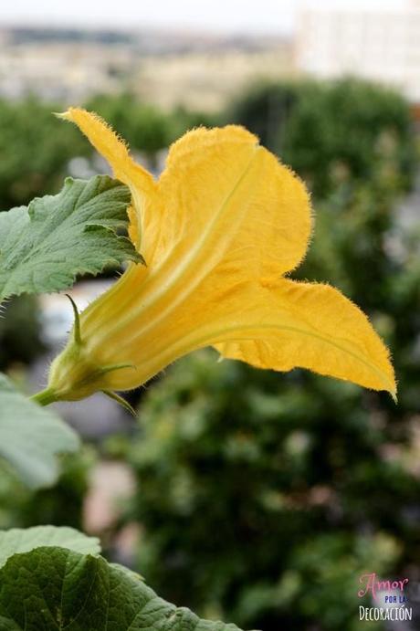 MACRO DEL DÍA: VIDA