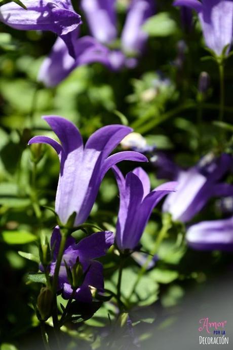 MACRO DEL DÍA: VIDA