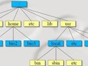 Sistemas ficheros linux
