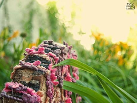 Hoy Compartimos, el jardín de Mar Hoy Compartimos, el jardín de Mar