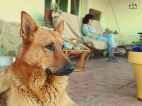 Hoy Compartimos, el jardín de Mar Hoy Compartimos, el jardín de Mar