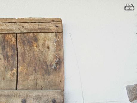 Hoy Compartimos, el jardín de Mar Hoy Compartimos, el jardín de Mar