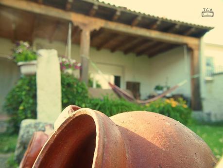 Hoy Compartimos, el jardín de Mar Hoy Compartimos, el jardín de Mar