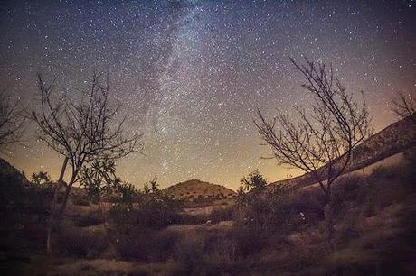 El brillo de las luciérnagas El brillo de las luciérnagas
