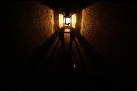 El brillo de las luciérnagas El brillo de las luciérnagas