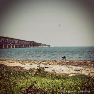 bahia honda cayos