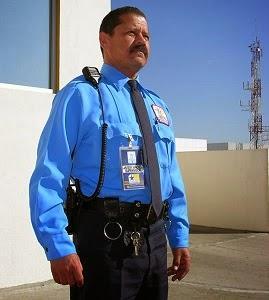 negocio+agencia+proteccion+ejecutiva