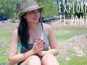 Explorando pantano...