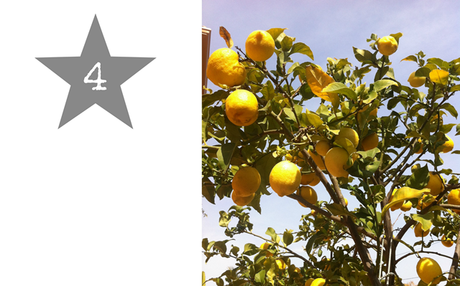 mis apuntes de junio