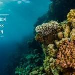 victor_tabernero_fotosub_2