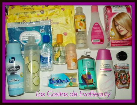 Productos terminados (Vol.7)