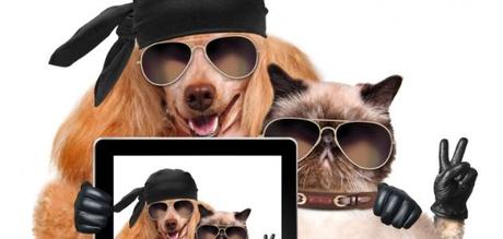 ¿Quieres que tu mascota sea famosa?