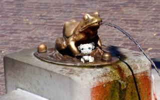 STRUMYKOWA, UNA AMIGA DE TORUM