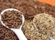 linaza grasas saludables.