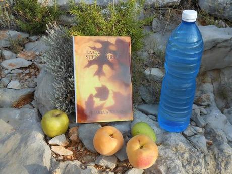 LOS LUGARES DE LOS LECTORES 2013: