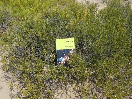 LOS LUGARES DE LOS LECTORES 2013: