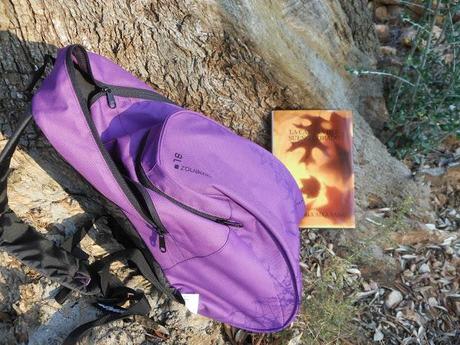 LOS LUGARES DE LOS LECTORES 2013: